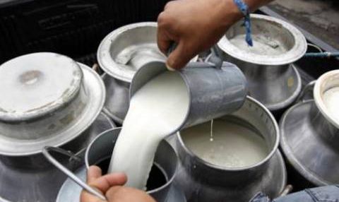 Sector leche con el grito al cielo; demanda baja un 50% por crisis sanitaria