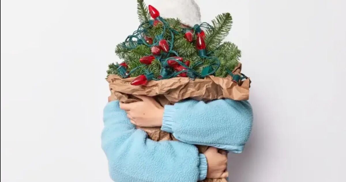 Consejos para reciclar ante alza de desechos en fiestas navideñas