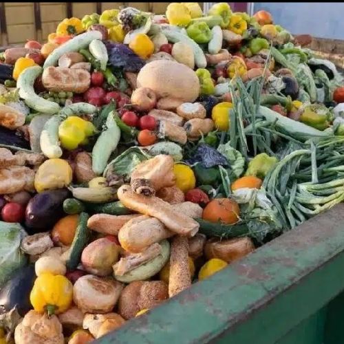 Innovación y colaboración, estrategias clave contra el desperdicio alimentario