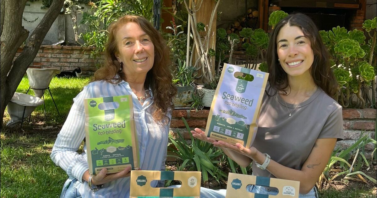 Innovación verde