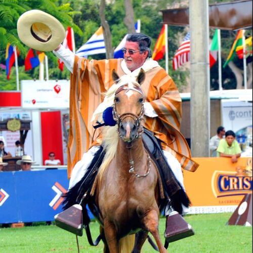 Elegancia, linaje y poder en cuatro tiempos