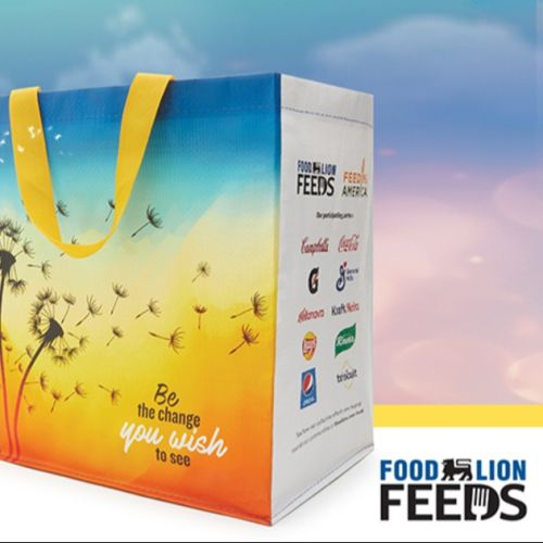 Iniciativa de verano de Food Lion Feeds cataliza el cambio