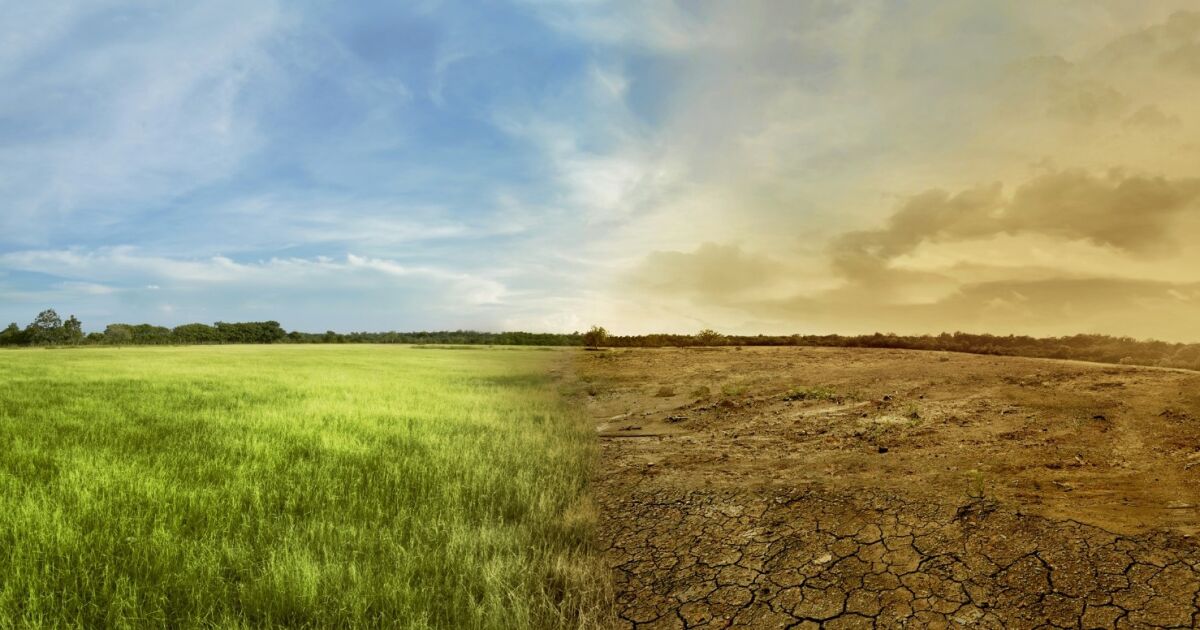 La agricultura ecuatoriana frente al clima extremo: innovación, agua y sostenibilidad marcan el camino
