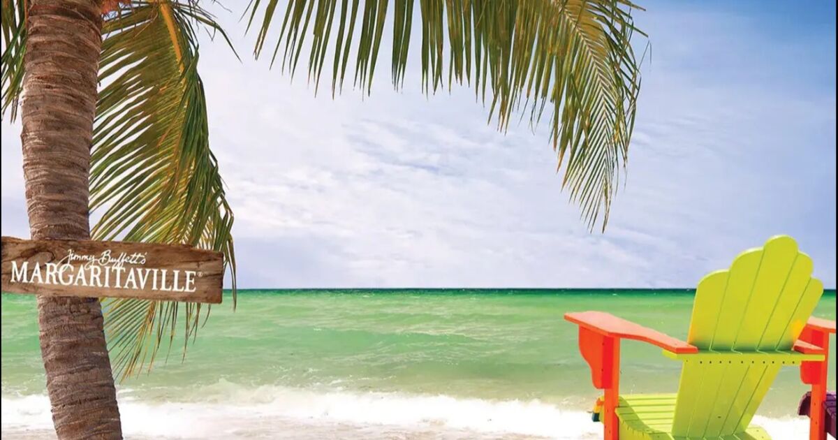 MargariteVilles: Las margaritas que tiene Jamaica, desde Montego Bay hasta la playa de Negril