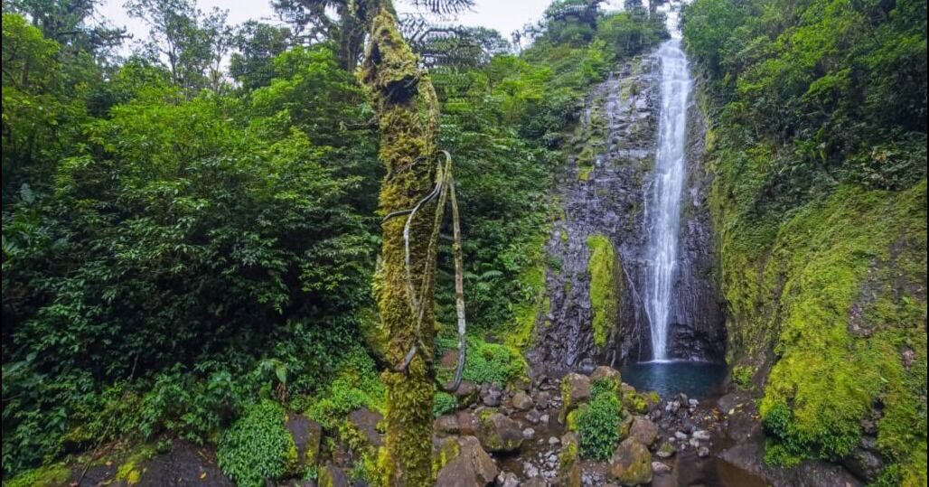 Piedades Norte apuesta por el ecoturismo como motor de desarrollo en el Bosque Nuboso La Paz