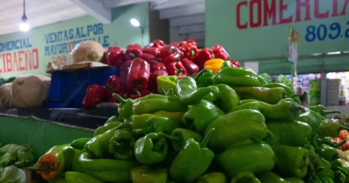 Dominicanos priorizan productos más orgánicos y frescos en su alimentación, según estudio