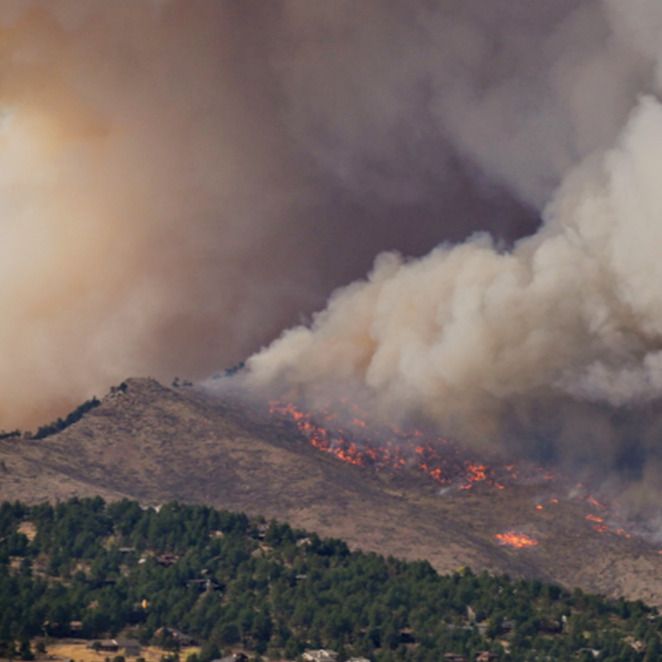 Comisión Forestal de Georgia debe mejorar su respuesta a los incendios forestales