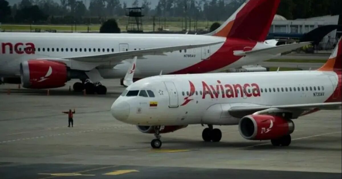 Avianca anuncia regreso a Venezuela: vuelos diarios Bogotá-Caracas a partir del 12 de febrero