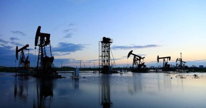 Inversiones petroleras podrían reactivar el 90% de 400 empresas en la Costa Oriental del Lago