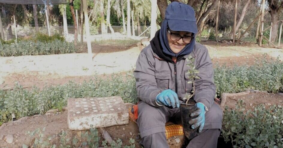CONAF valora compromiso de trabajadores del PEE en Vivero de Illapel