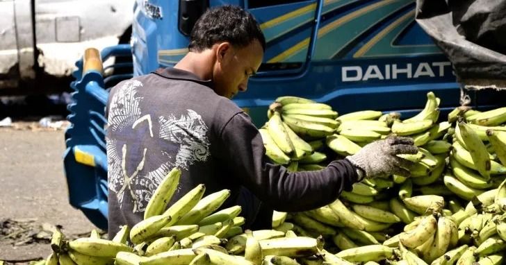 Limber Cruz asegura que habrá plátano en abundancia y a "excelente precio"