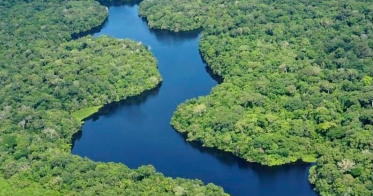 Amazonas: 42% de los bosques vírgenes de la Amazonía no tiene protección y puede desaparecer