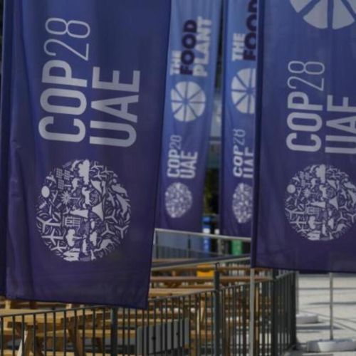 Diez fechas clave de la movilización internacional por el clima