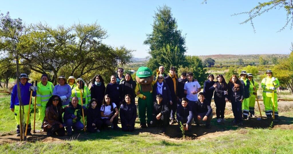Celebran el Día de la Tierra con plantación de árboles nativos junto a estudiantes de Ninhue