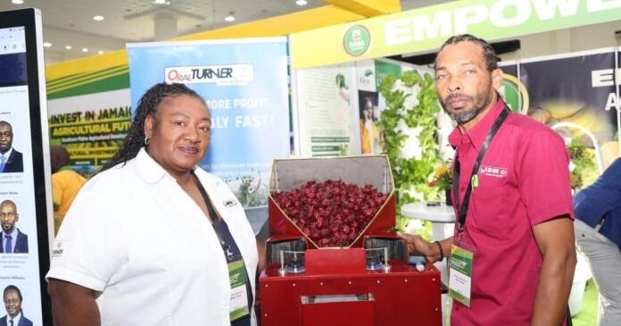 Inventores jamaicanos convierten el desafío local de Sorrel en una solución global