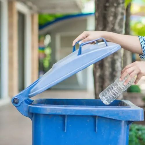 Resolución de Año Nuevo: consejos sobre cómo ser más ecológico con un presupuesto limitado en 2024