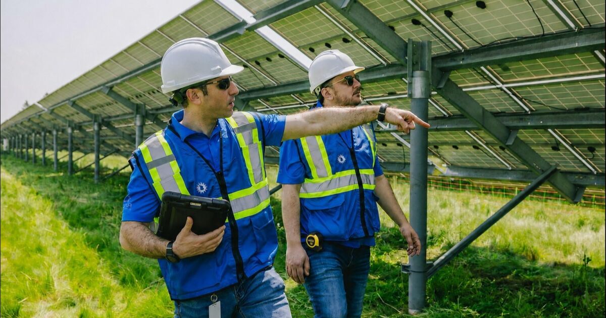 Polar Racking lanza una división de gestión de activos solares para brindar soporte integral durante todo el ciclo de vida de la energía solar