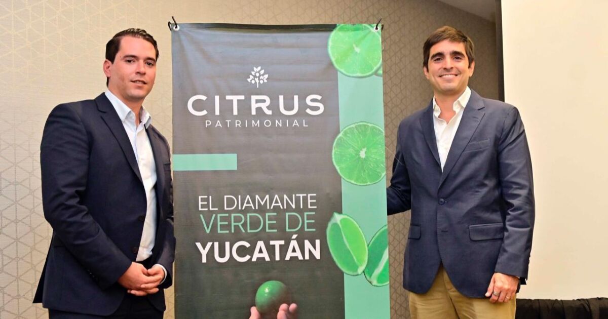 Crece la confianza para invertir en México; aumenta la producción de limón de exportación.
