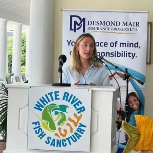Arrecifes de coral saludables: clave para el ecosistema de Jamaica