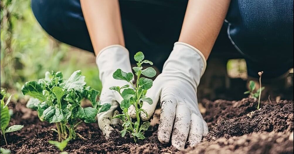 Costa Rica avanza hacia el turismo regenerativo junto a otros países