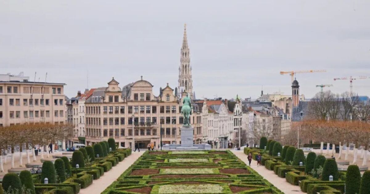 Es un comienzo: tras el lanzamiento del vuelo de Delta a Bruselas, la comunidad empresarial belga impulsa una conexión durante todo el año