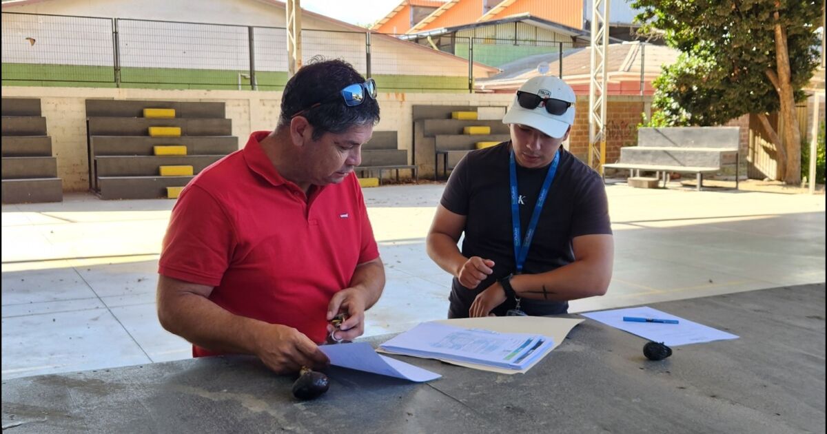 RedQ invierte más de $760 millones para recibir el año escolar en mejores condiciones