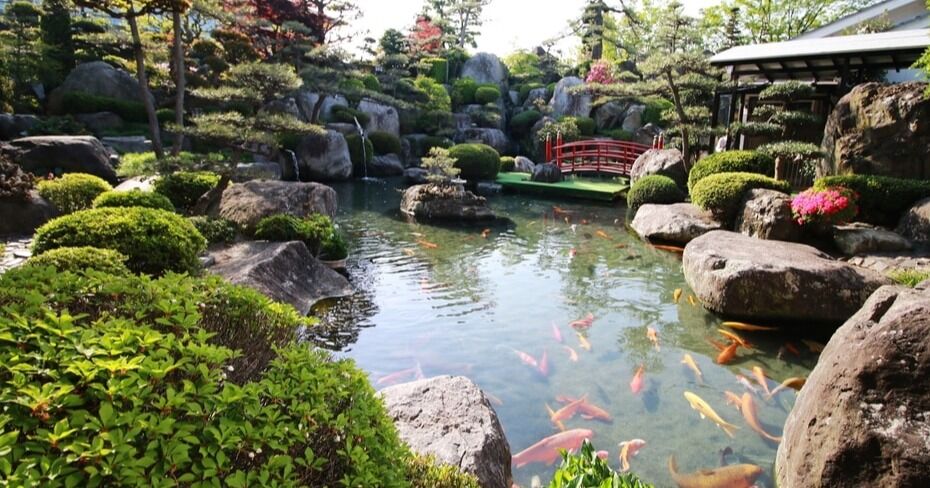 Atlanta Water Gardens celebra 30 años de diseños de jardines serenos