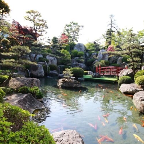 Atlanta Water Gardens celebra 30 años de diseños de jardines serenos