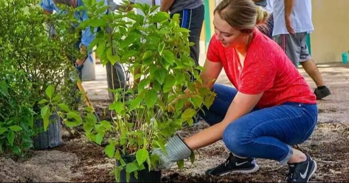 Million Trees amplía áreas verdes en Miami-Dade