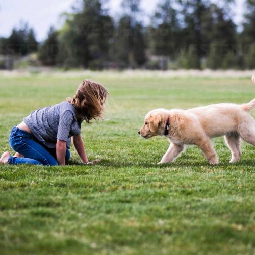 Interactuar con perros aumenta las ondas cerebrales ligadas al alivio del estrés