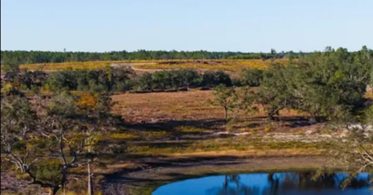 Nuevo resort de golf en Florida inicia construcción con famoso diseñador