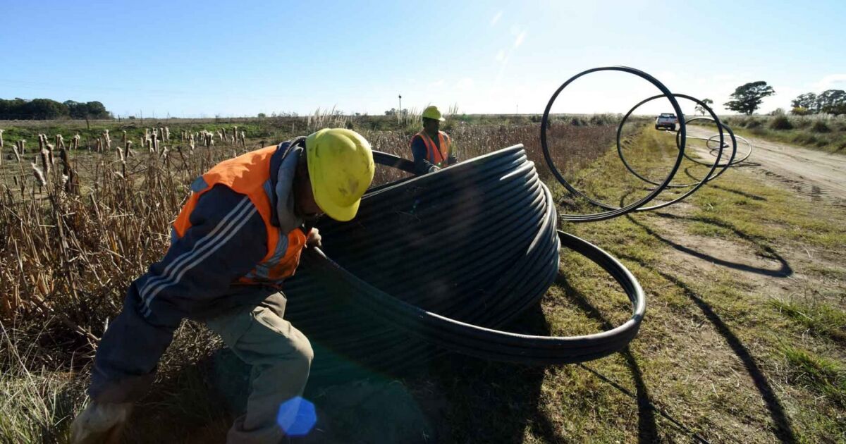 Enacom amplía presupuesto para capacidad de la Red Federal de Fibra Óptica argentina