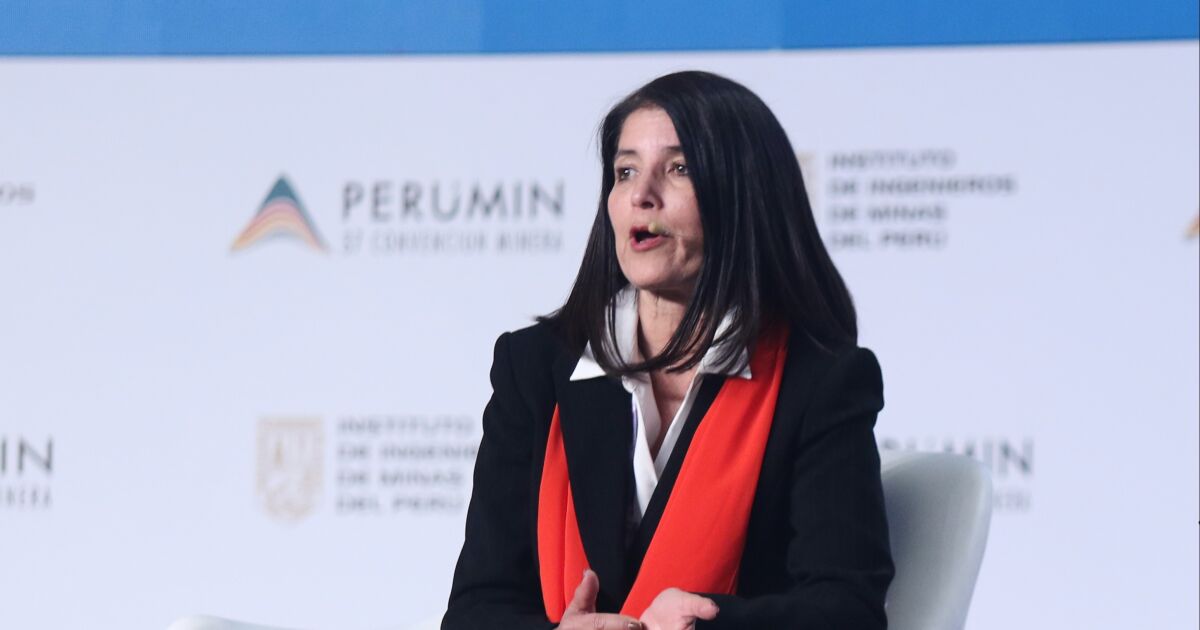 Julia Torreblanca plantea simplificar permisos y fortalecer alianzas con países de la región para acelerar inversiones mineras