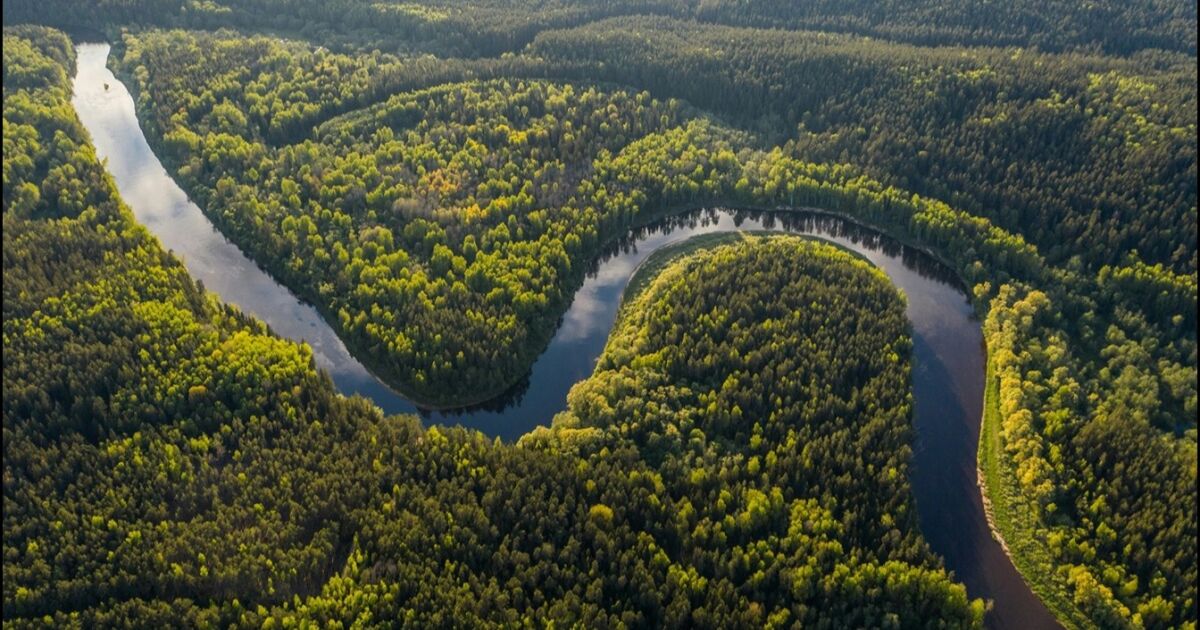 ¿Cómo afecta el cambio climático a los países Latinoamericanos? Expertos revelan claves para cubrir la COP30