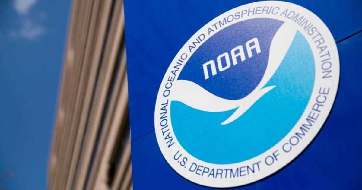 NOAA apoyando la restauración innovadora de los corales