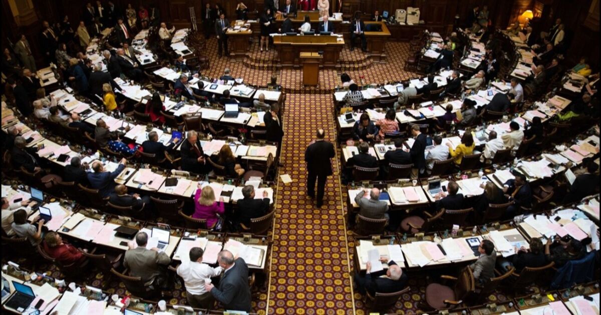 El Senado de Georgia aprueba la reforma de responsabilidad civil 2.0