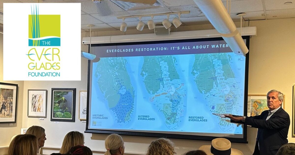 La Fundación Everglades reporta múltiples victorias en conservación en los últimos meses