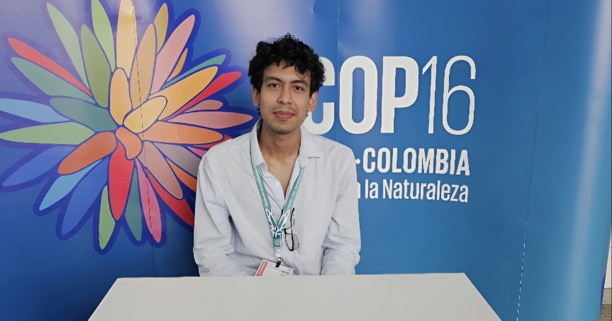 Construyendo un futuro sostenible desde las raíces