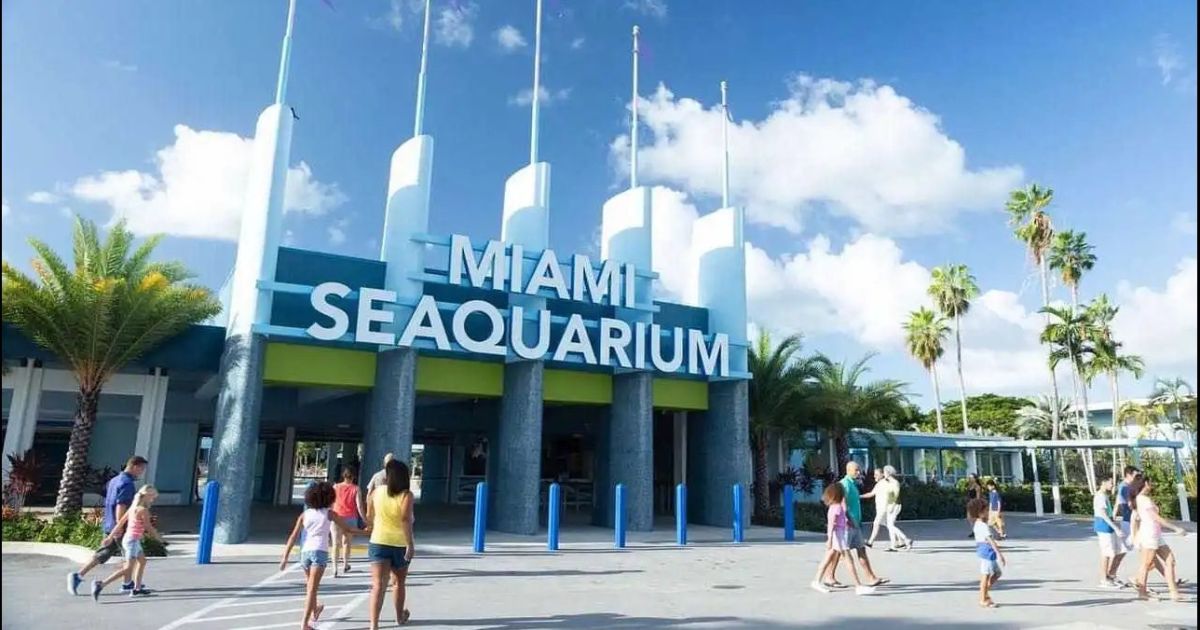 Miami Seaquarium solicita al gobierno de Miami Dade revocar su aviso de desalojo