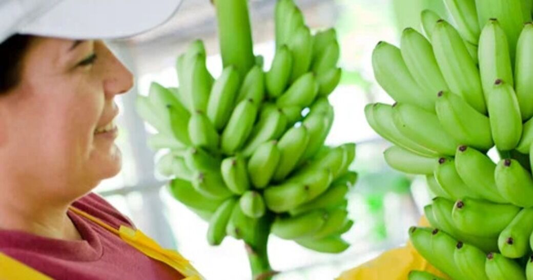 Exportaciones de bienes de Costa Rica crecen un 8% en el primer trimestre de 2026