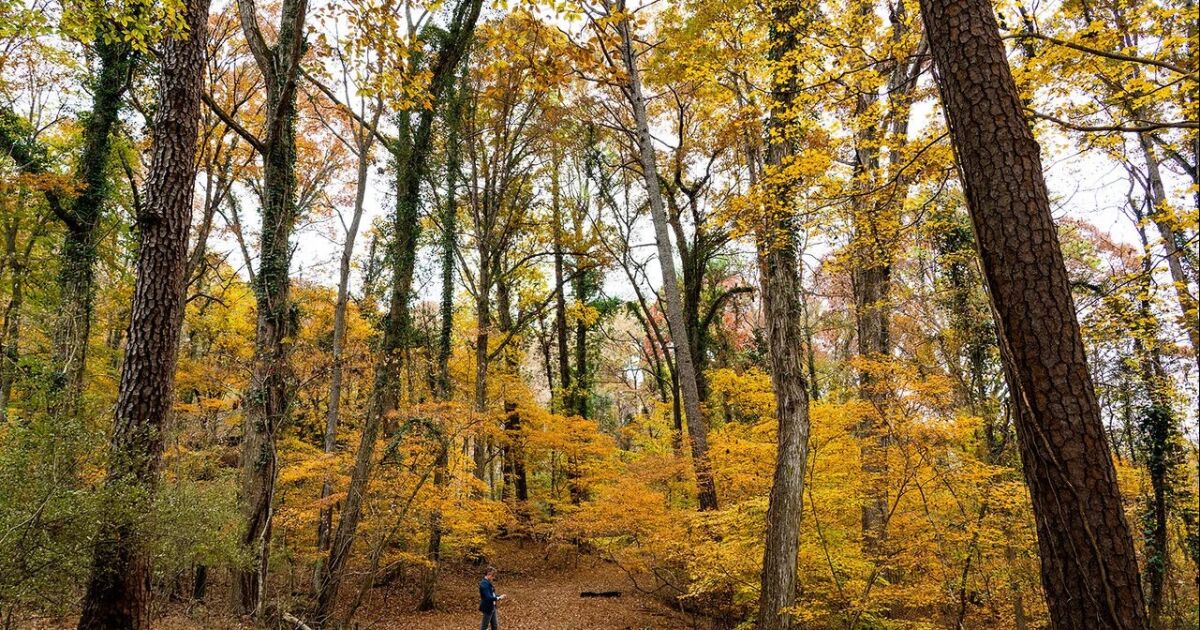 El Fondo de Conservación celebra la conservación de 1000 acres de tierra en la ciudad de Atlanta