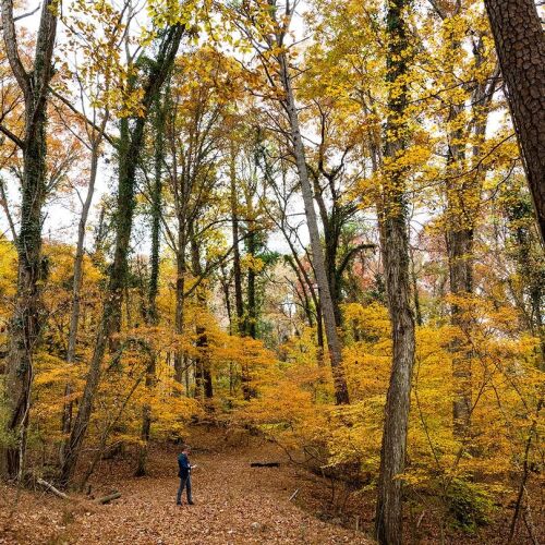 El Fondo de Conservación celebra la conservación de 1000 acres de tierra en la ciudad de Atlanta