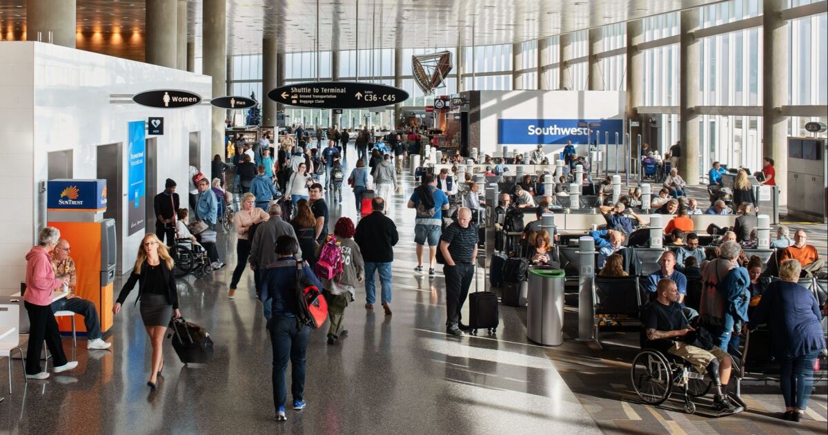 El Aeropuerto Internacional de Tampa anuncia nuevos vuelos directos a Jamaica