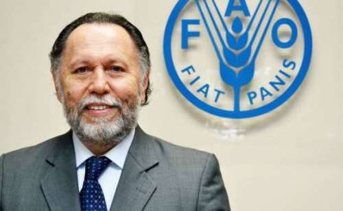 FAO resalta alimentación escolar de República Dominicana
