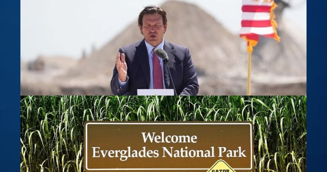 Anuncian avance significativo en la restauración de los Everglades y acelera el cronograma del proyecto.
