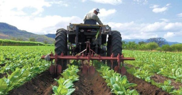 Cavedrepa gestiona ante Comité de Comercio Exterior condiciones para importar maquinaria y tecnología agrícola