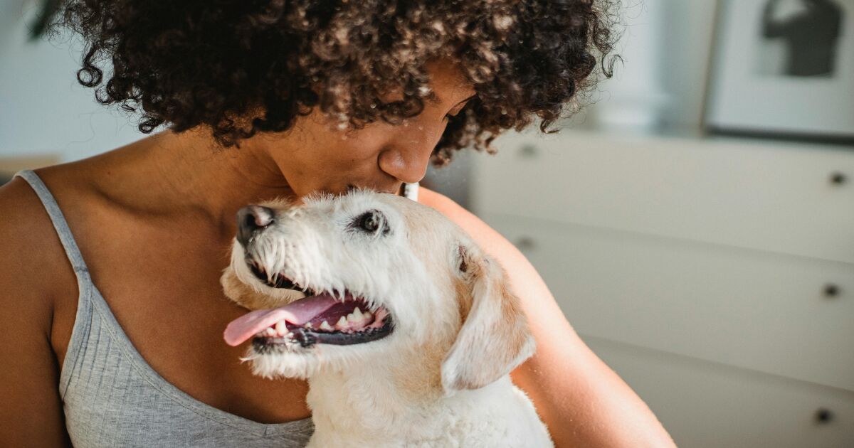 Dog Moms: cuando el amor por tu mascota se convierte en guía y bienestar