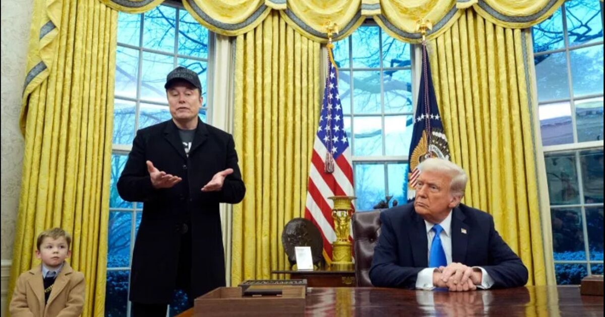Elon Musk anuncia su salida del Gobierno de Trump
