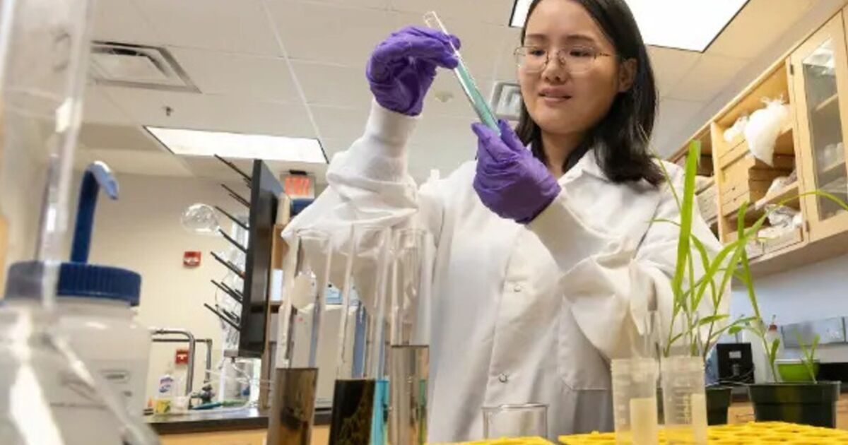 Líder en la investigación en ciencias agrícolas del país por sexto año