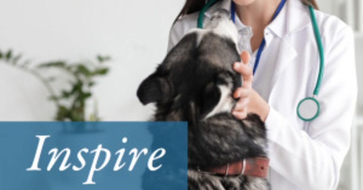 La Asociación Médica Veterinaria de Florida lanza "Inspire By FVMA" para los profesionales veterinarios de Florida